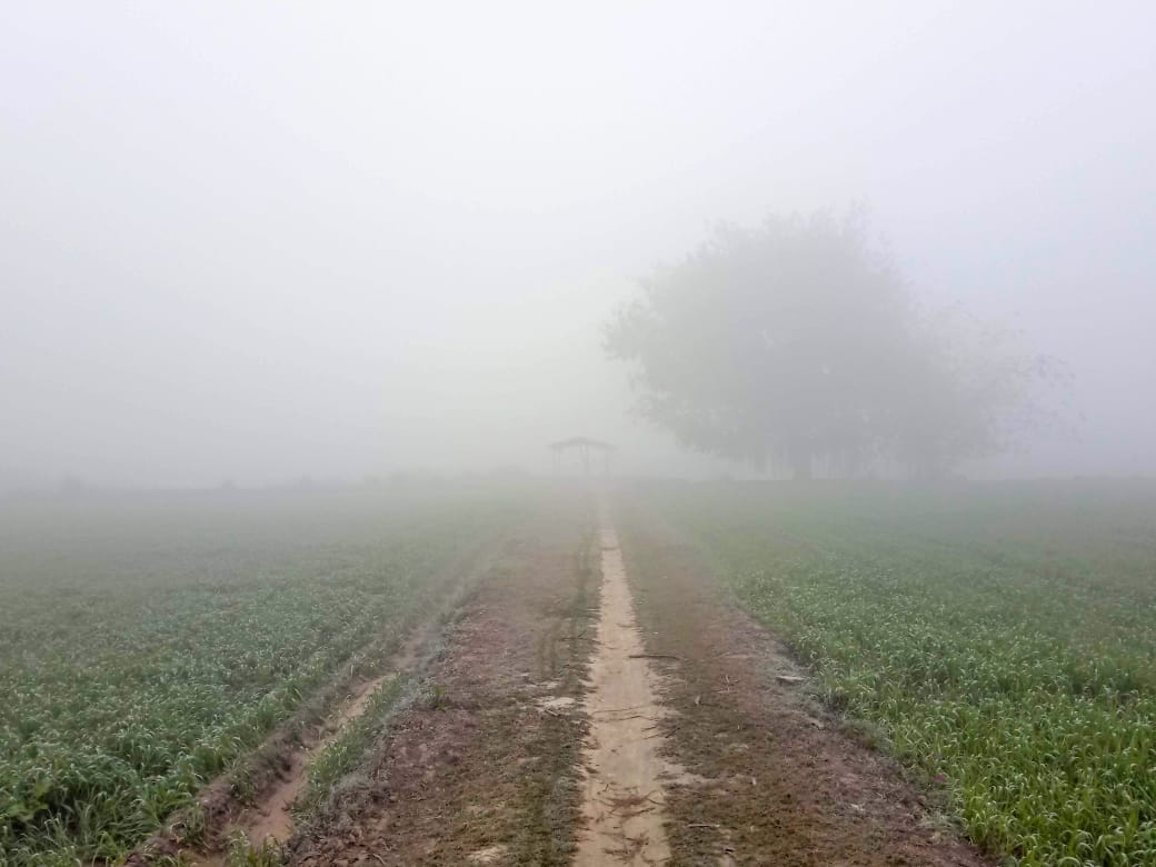 Puranazir