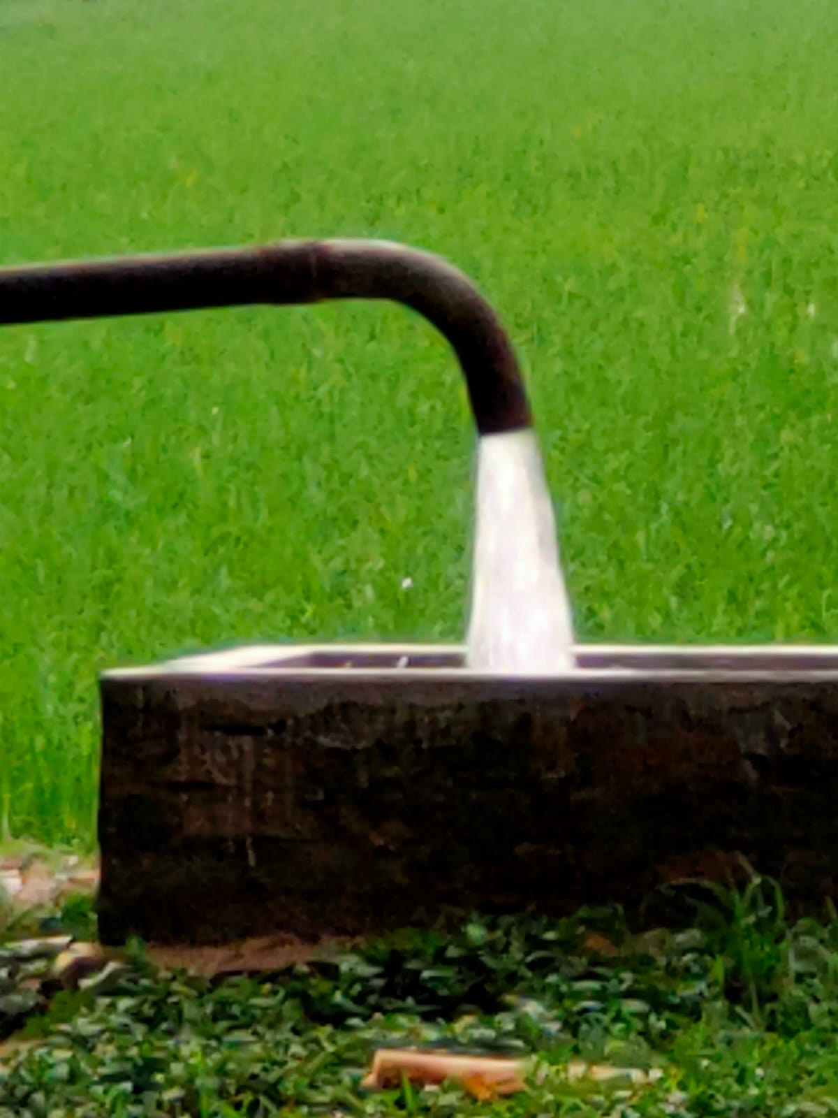 Farm Image 1