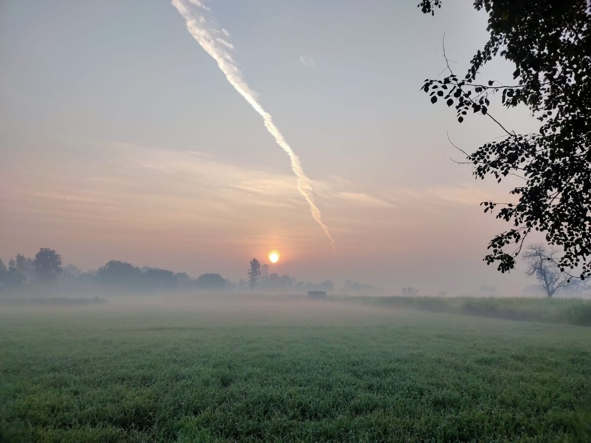 Farm Image 4